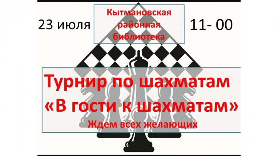 В гости к шахматам!